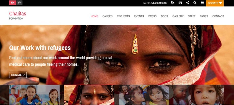 Charitas Non-Profit WordPress Theme