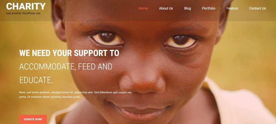 Charity Free WordPress Theme