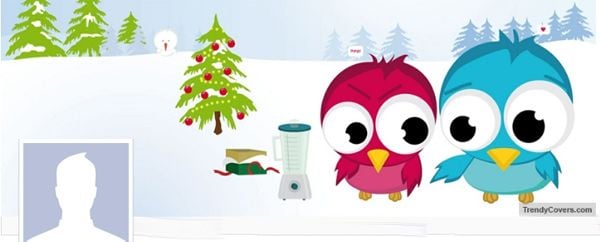 Christmas Love Birds Facebook Cover