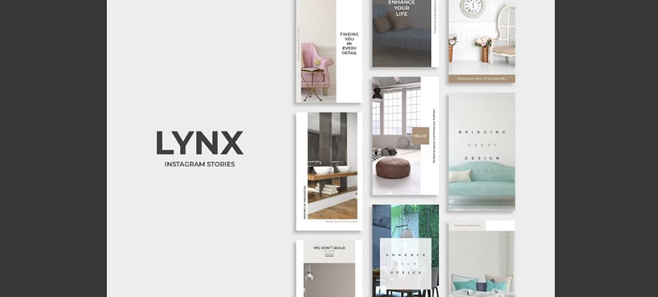 Lynx Instagram Story Template Package
