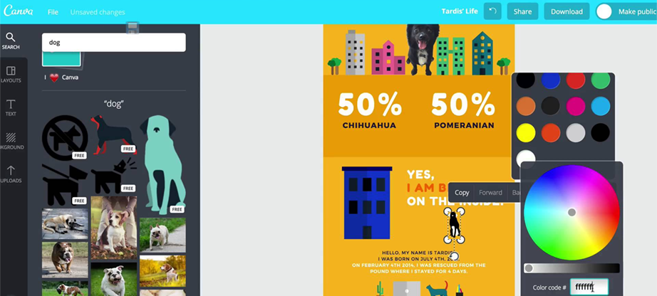 Canva editable infographic templates